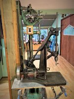IMG_3336.jpg