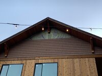 IMG_1358.jpg