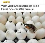 egg.jpg