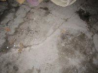 IMG_1671.jpg