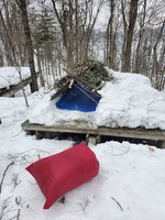 Zac Shelter.jpg Zac Shelter.jpg
