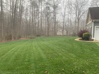 IMG_4069.JPEG IMG_4069.JPEG