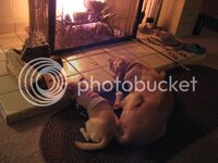 IMG_3535.jpg