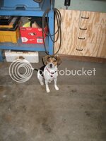 IMG_1864.jpg