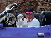 PurpleCar008.jpg