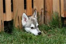 IMG_4786%20%28WinCE%29.jpg