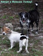 DSC_0043-a-1.jpg