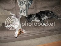 IMG_0022-a.jpg