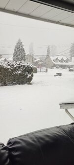 20230228_094315.jpg 20230228_094315.jpg