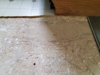20-X4.jpg