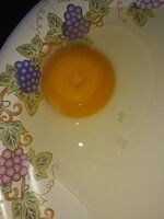 20230305_161420.jpg 20230305_161420.jpg