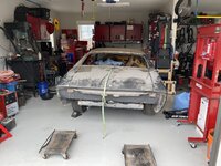 IMG_0202.jpg