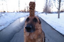 Kiley_2015-03-08.jpg