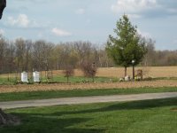 Garden .JPG