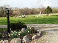 front yard.JPG