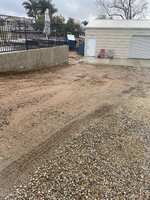 IMG_5385.jpg