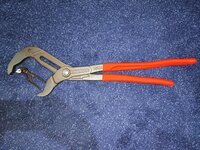 IMG_20230316_124908.jpg