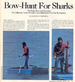 Shark2.jpg