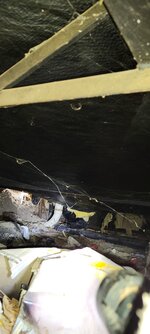 F BATH DRAIN AT MAIN.jpg F BATH DRAIN AT MAIN.jpg