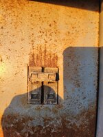 20230320_074825.jpg