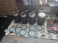 Syrup in Pints.jpg Syrup in Pints.jpg