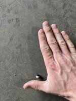 601B870A-7914-409E-9D8E-9303E2524BD0.jpeg