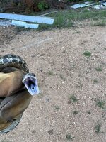 0F21116A-0805-4675-8D45-4616E1F13BE7.jpeg
