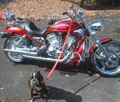 buddybikepic.jpg