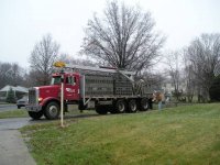 P1010028-gj.jpg