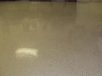 bino floor 2.JPG