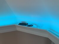 IMG_4156.JPEG