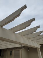 20230329_081836.jpg
