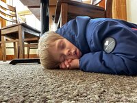 IMG_2536.jpeg