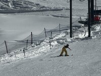 IMG_2859.jpeg