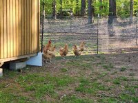 20230412_182110.jpg