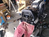 20230410_105716.jpg