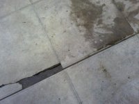 2012-01-01 13.39.54.jpg
