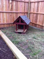 kittys new house.jpg