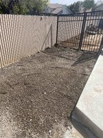 IMG_5517.jpg