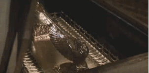 anigif_enhanced-7731-1392836069-19.gif