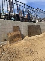 IMG_5542.jpg