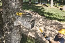 DeWlt-20V-Max-Pole-Saw-06.jpg