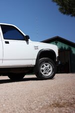 IMG_5493sm.jpg