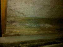 IMG_20121205_182548.jpg