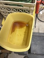 IMG_1389.jpeg IMG_1389.jpeg