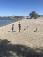 IMG_5610.jpg
