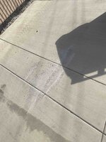 IMG_5615.jpg