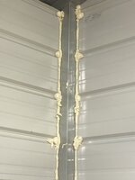 IMG_3141.jpeg