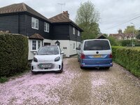 74CA6637-C5FA-4918-9068-F31BC2096E27.jpeg 74CA6637-C5FA-4918-9068-F31BC2096E27.jpeg