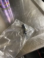 IMG_3442.jpeg IMG_3442.jpeg